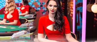 ceo casino
